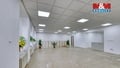Pronájem obchodního prostoru 183 m², Přeštice