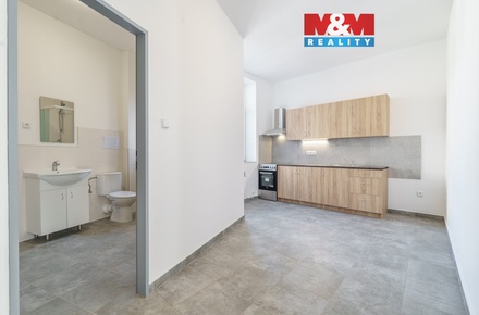 Pronájem bytu 2+1 48 m², Sokolov