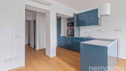 Pronájem bytu 3+kk 89 m², Praha - Žižkov