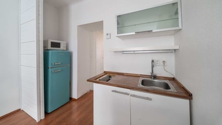 Pronájem bytu 1+kk 27 m², Plzeň 3