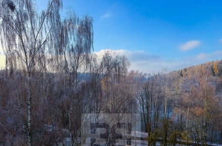 Pronájem bytu 3+kk 68 m², Cheb