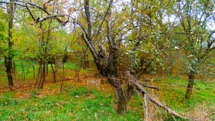 Prodej rodinného domu 80 m², Krhovice