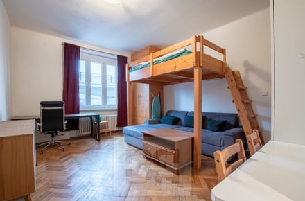 Pronájem bytu 1+kk 26 m², Praha - Holešovice