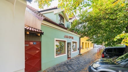 Prodej obchodního prostoru 115 m², Brandýs nad Labem-Stará Boleslav