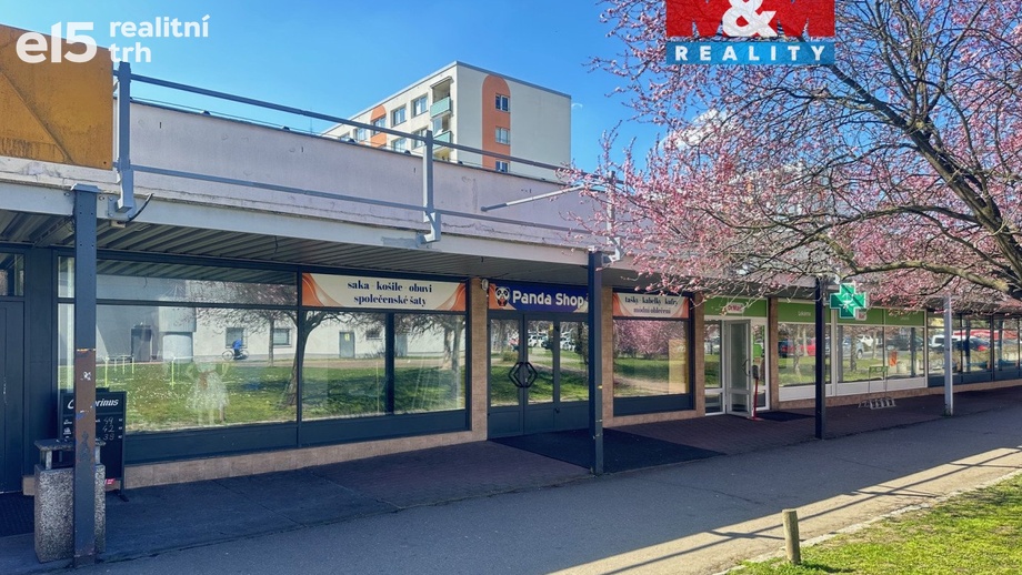 Pronájem obchodního prostoru 265 m², Mladá Boleslav