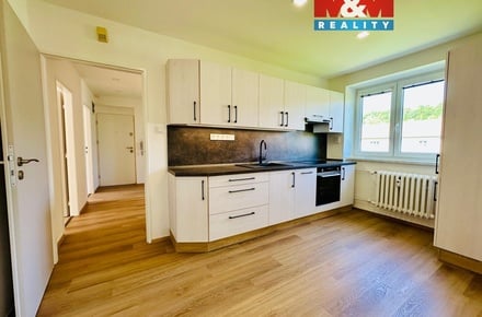 Pronájem bytu 3+kk 69 m², Oslavany