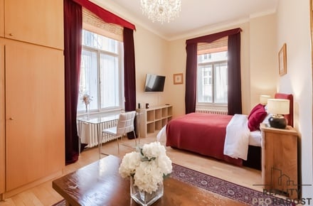 Pronájem bytu 1+1 45 m², Praha 1