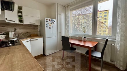 Pronájem bytu 1+1 38 m², Brno - Bystrc