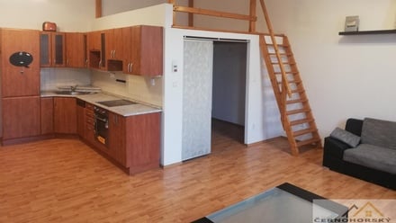 Pronájem bytu 1+kk 75 m², Rakovník I