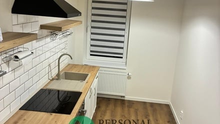 Pronájem bytu 1+1 40 m², Praha - Žižkov