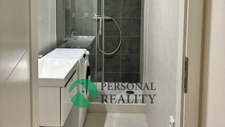 Pronájem bytu 1+1 40 m², Praha - Žižkov