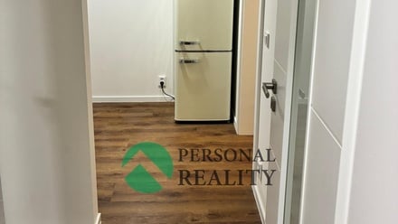 Pronájem bytu 1+1 40 m², Praha - Žižkov