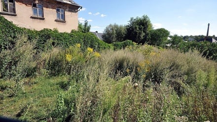 Prodej rodinného domu 250 m², Moravský Beroun