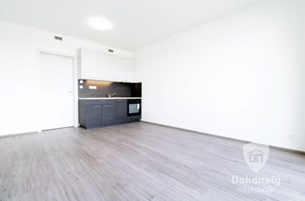Pronájem bytu 1+kk 30 m², Praha - Třebonice