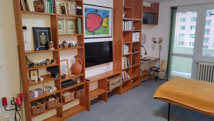 Pronájem bytu 1+1 41 m², Bystrc