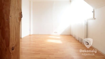 Pronájem bytu 4+kk 95 m², Praha - Libeň