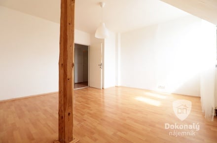 Pronájem bytu 4+kk 95 m², Praha - Libeň