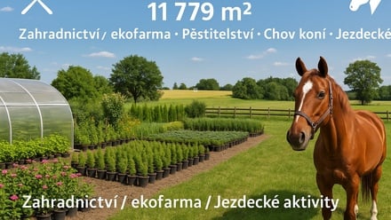 Pronájem pole 11 779 m², Libeň