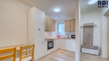 Pronájem bytu 2+1 49 m², Brno - Královo Pole