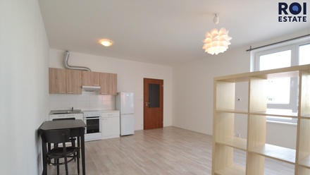 Pronájem bytu 1+kk 41 m², Brno - Štýřice