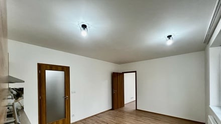 Pronájem bytu 2+kk 49 m², Liberec X-Františkov