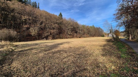 Prodej stavebního pozemku 6 831 m², Březová nad Svitavou