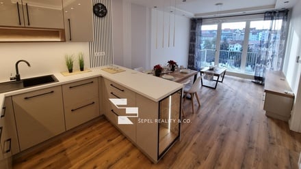 Pronájem bytu 2+kk 56 m², Brno - Ponava