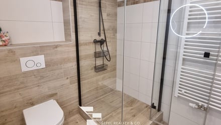 Pronájem bytu 2+kk 56 m², Brno - Ponava