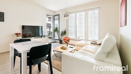 Pronájem bytu 2+kk 57 m², Brno - Sadová