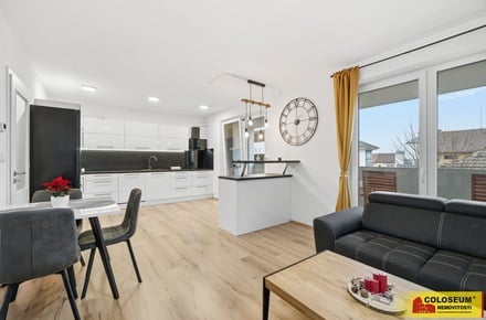 Prodej bytu 2+kk 56 m², Boskovice