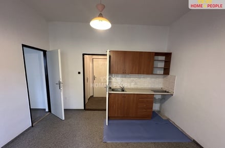 Pronájem bytu 1+1 37 m², Praha 7
