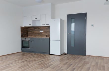 Pronájem bytu 1+kk 34 m², Bystrc
