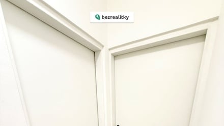 Prodej bytu s 6 a více pokoji 49 m², Praha 3