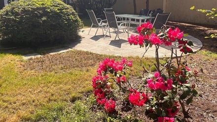 Pronájem kanceláře 42 m², Praha 8, Karlín