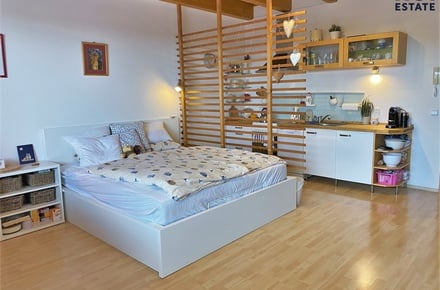 Pronájem bytu 1+kk 39 m², Brno - Soběšice