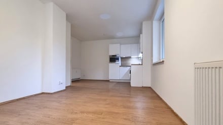 Pronájem bytu 1+kk 31 m², Brno - Husovice
