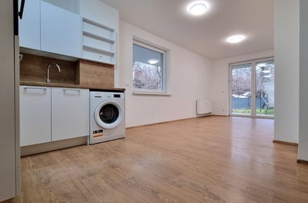 Pronájem bytu 1+kk 31 m², Brno - Husovice