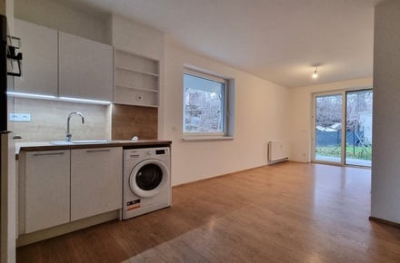 Pronájem bytu 1+kk 31 m², Brno - Husovice
