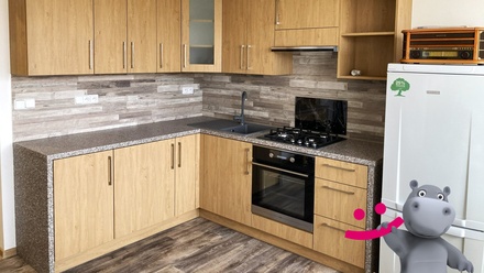 Prodej bytu 1+1 58 m², Olomouc - Nová Ulice