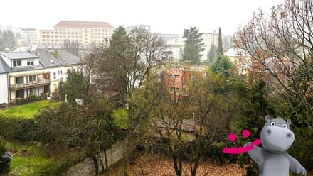 Prodej bytu 1+1 58 m², Olomouc - Nová Ulice