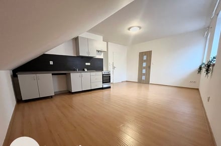 Pronájem bytu 2+kk 60 m², Vítkov