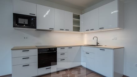 Pronájem bytu 2+kk 66 m², Liberec X-Františkov