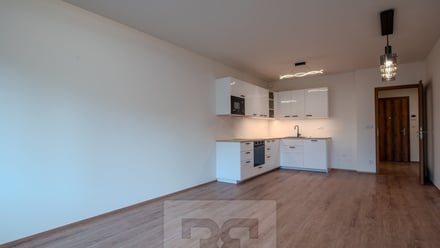 Pronájem bytu 2+kk 66 m², Liberec X-Františkov
