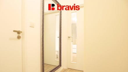 Pronájem bytu 1+kk 20 m², Brno - Pisárky