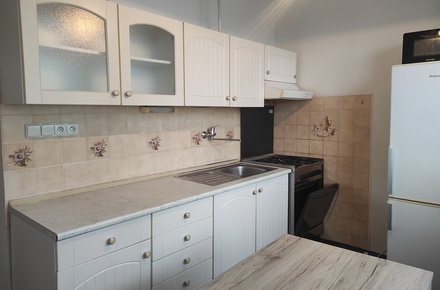 Pronájem bytu 1+1 40 m², Brno