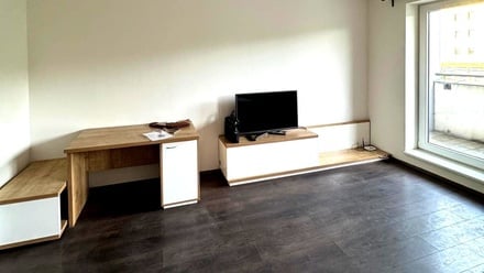 Pronájem bytu 1+kk 46 m², Brno - Židenice