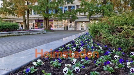 Pronájem kanceláře 71 m², Havířov-Město - Havířov - Město