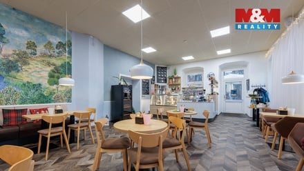 Prodej obchodního prostoru 5 519 m², Nejdek