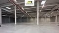 Pronájem skladu 29 469 m², Myslinka