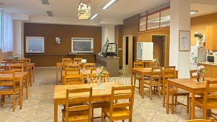 Pronájem komerční nemovitosti 265 m², Teplice